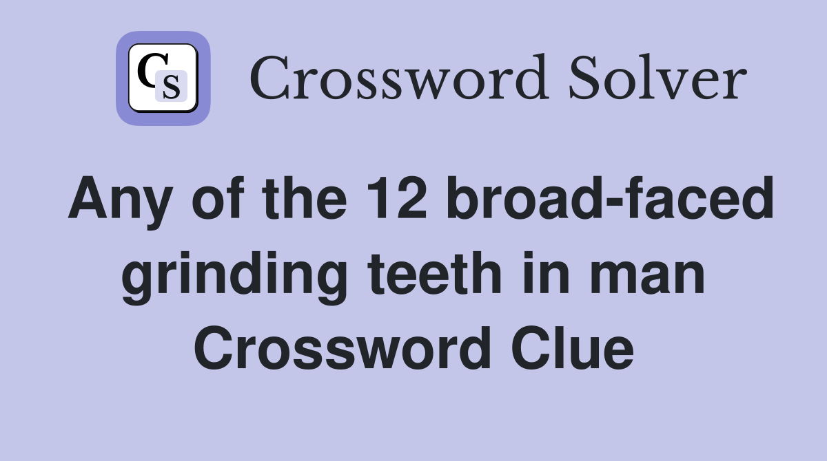 Any of the 12 broadfaced grinding teeth in man Crossword Clue